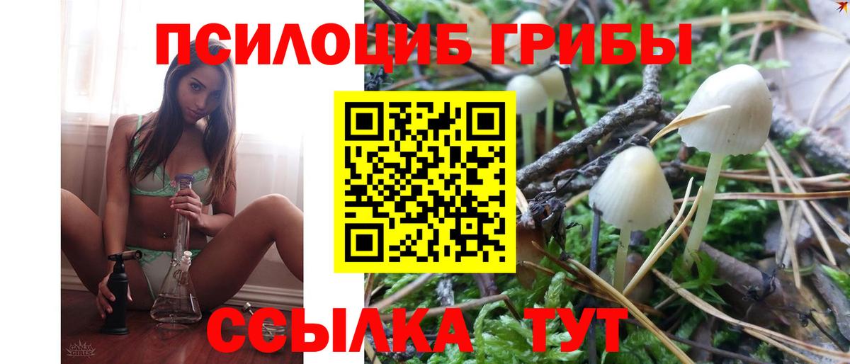 Галлюциногенные грибы Magic Shrooms Волжский