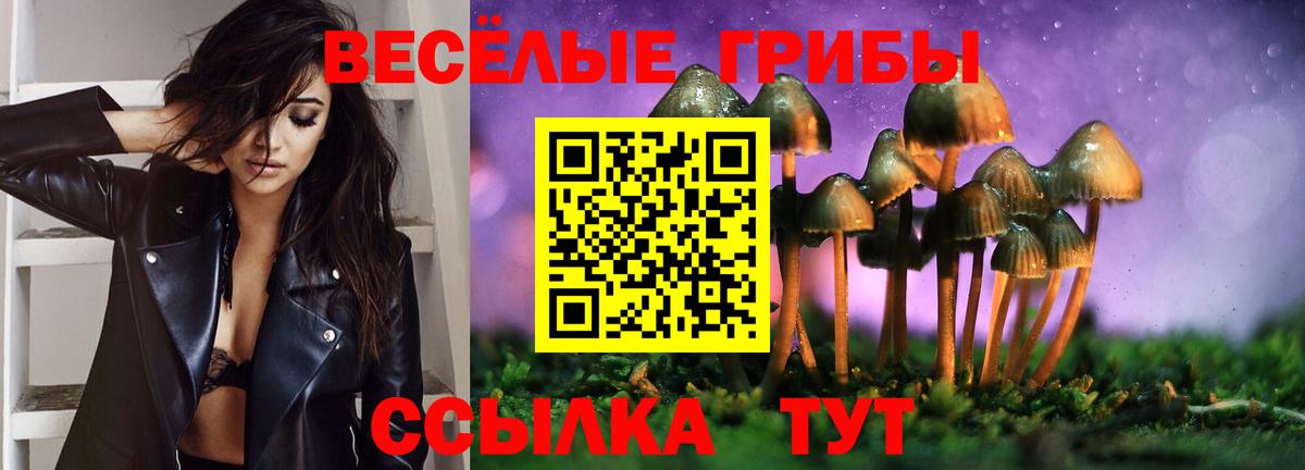 Галлюциногенные грибы мицелий  Псилоцибиновые грибы MAGIC MUSHROOMS  Волжский  Вход с VPN 
